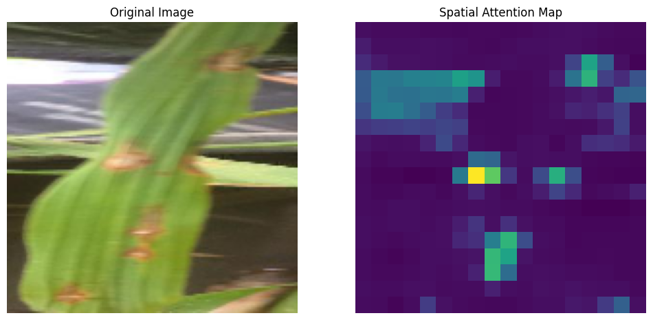Rice Leaf Disease XAI